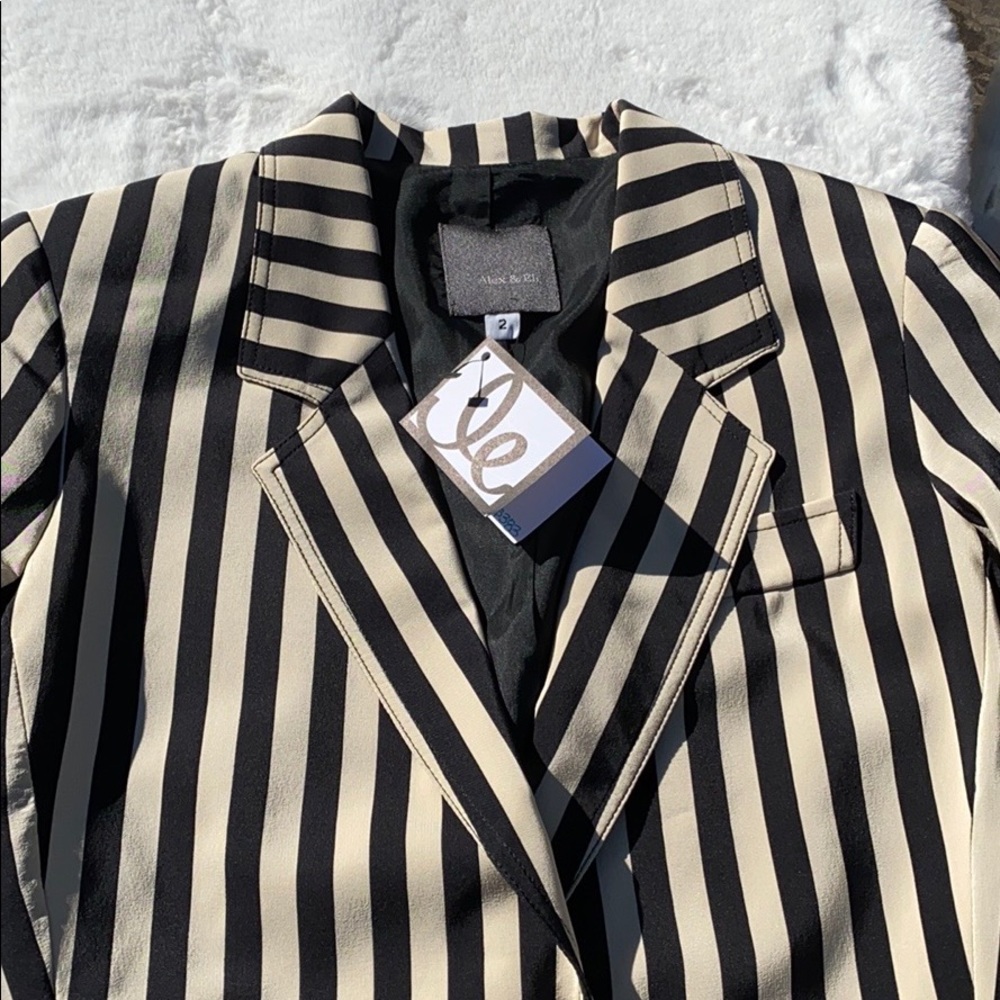ALEX & ELI short set 2 silk striped designer brand blazer BETTLEJUICE - Picture 6 of 13